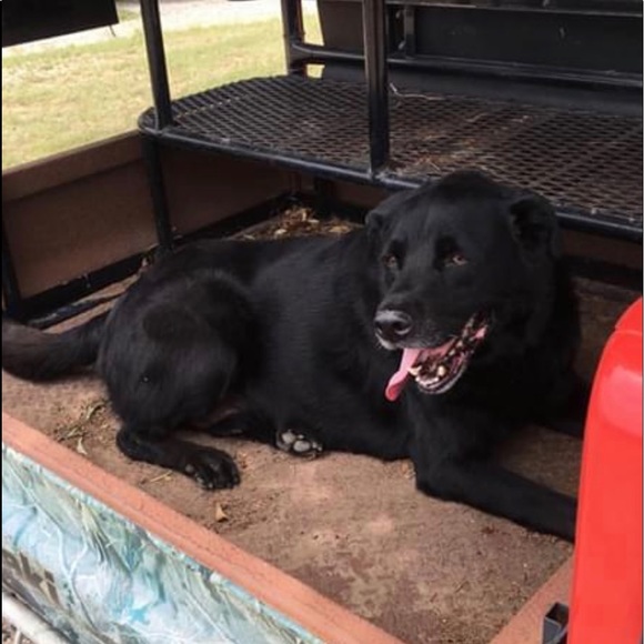 Meet your Posher, Mona - Picture 8 of 9